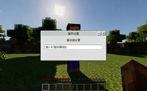 我的世界国际版如何进入EC服务器，EC服务器地址怎么填？