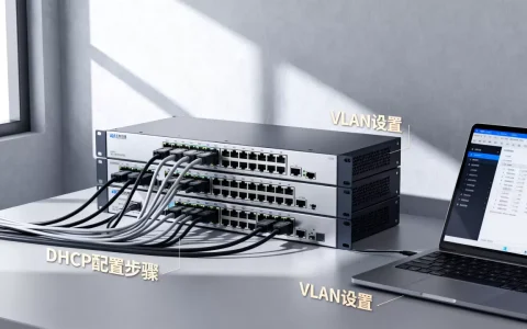 三层交换机DHCP服务器怎么设置，有哪些配置方法？