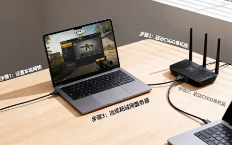 CSGO单机版如何局域网连接服务器，局域网联机教程是什么？