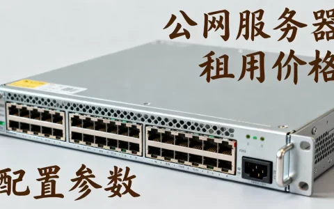 公网服务器多少钱一个合适，租用价格贵不贵