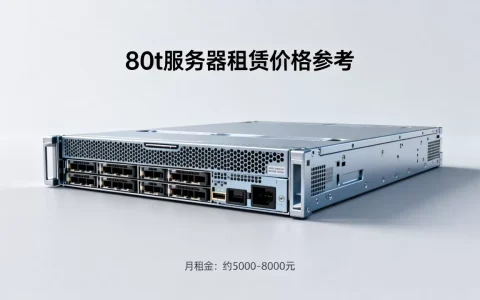 租80t服务器到底多少钱呢，价格贵不贵？