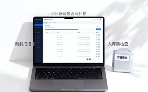 容器镜像为什么要在入库前做漏洞扫描，有哪些注意事项