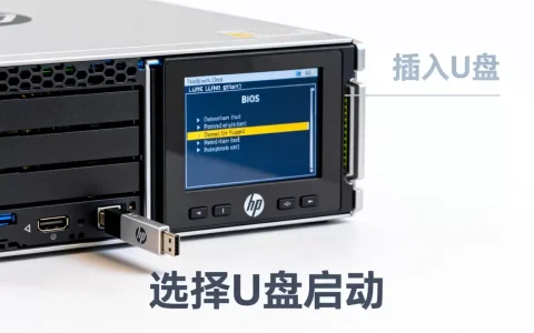 惠普服务器U盘启动不了怎么办，惠普服务器U盘启动怎么设置？