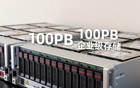 你知道大型企业服务器硬盘有多少PB吗？，服务器硬盘容量多大？
