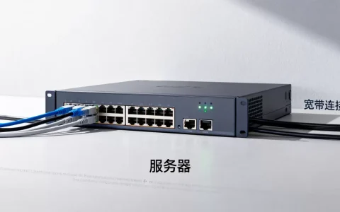 一台服务器该接多少宽带呢，宽带不够用怎么办