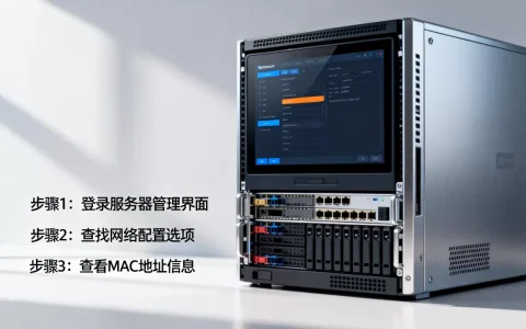 怎么查看服务器的MAC地址，有哪些方法？
