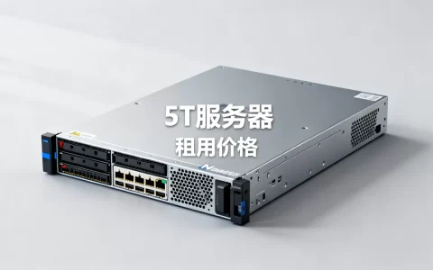 五个T的服务器到底多少钱，5T服务器租用一年价格多少？