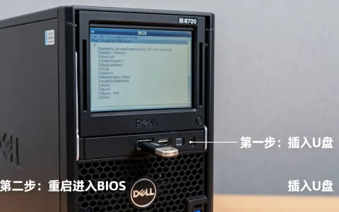 戴尔r720服务器如何设置U盘启动，有什么步骤详解？