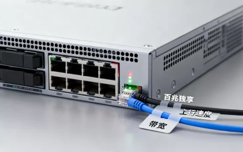 百兆独享服务器上行速度是多少？，带宽够用吗？