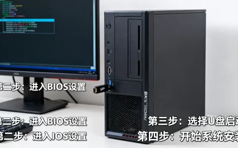 怎么用U盘在服务器上安装系统，具体步骤是什么？