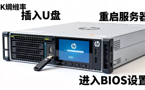 惠普服务器U盘启动失败怎么办，HP服务器U盘启动怎么设置？