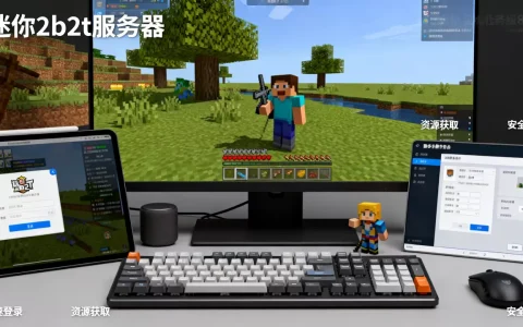 迷你世界2b2t服务器怎么用？有哪些实用技巧？