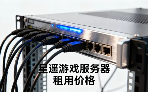 星遥游戏服务器多少钱，游戏服务器租用多少钱一个月？