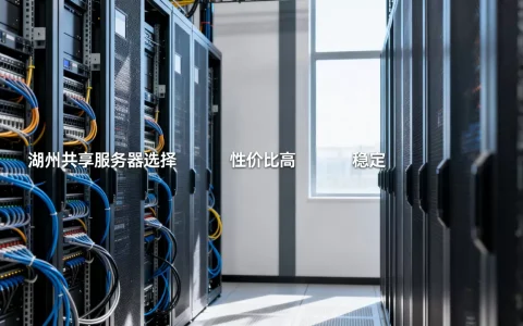 湖州共享服务器有哪些选择？,哪家性价比高还稳定？