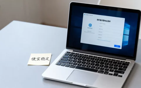海外服务器地址有哪些选择，哪个便宜稳定？