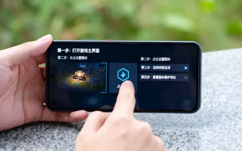 泰拉瑞亚手机版如何查看服务器IP？,具体步骤是什么？