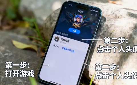 手游LOL怎么看自己在哪个服务器，在哪查最准确？