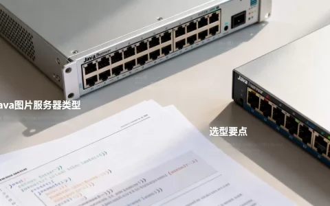 Java图片服务器有哪些类型，Java图片服务器怎么选型？