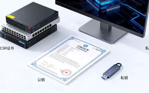 服务器CSR证书导出公钥私钥怎么做？有哪些方法？