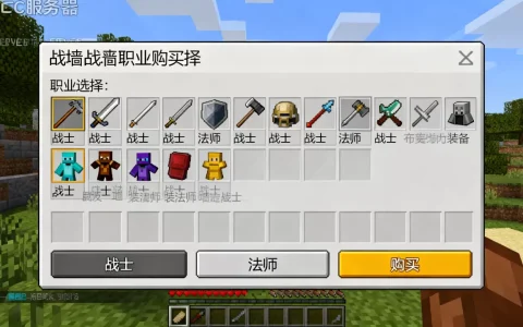 我的世界ec服务器战墙职业怎么买，哪个职业最强？