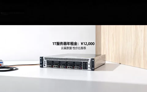 1T服务器租用一年需要多少钱，哪家服务商性价比最高？