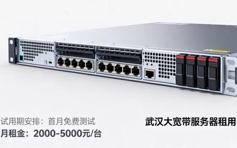 武汉大宽带服务器租用怎么安排试用期，多少钱一个月？