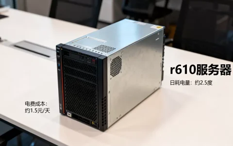 r610服务器一天耗电多少，电费成本高吗？