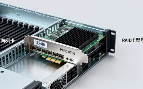 Dell R410服务器怎么看阵列卡，RAID卡型号怎么查？