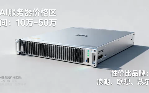 AI服务器一般多少钱一台呢，什么牌子性价比高