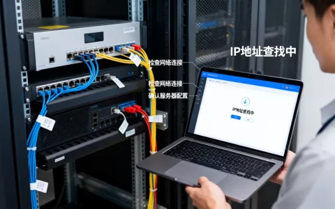 在服务器上找不到IP地址怎么办，是什么原因
