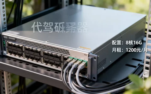 租个代驾服务器要多少钱，月租费用贵不贵？
