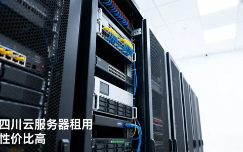 四川云服务器租用多少钱？哪家性价比高？