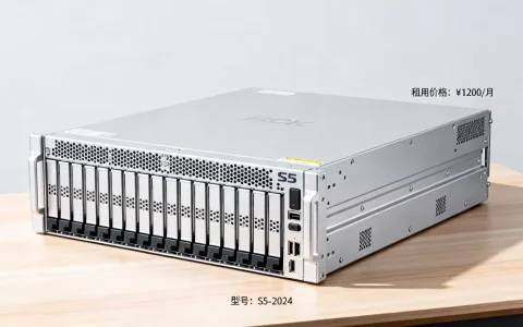 s5阵列服务器多少钱？,租用一台价格是多少