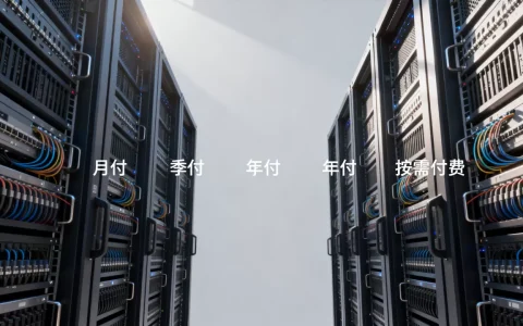 武汉服务器租用付款方式有哪些可选，怎么选划算？