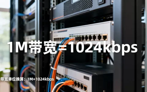 服务器1m带宽是多少kbps，服务器带宽单位怎么换算？