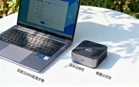 百度云DNS服务器如何配置，简米云和酷番云哪个好？
