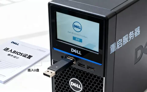 Dell服务器U盘启动不了怎么办，如何设置U盘启动？