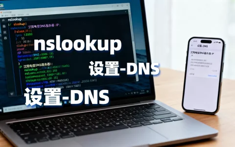 沈阳电信的DNS服务器IP是多少，如何查询？