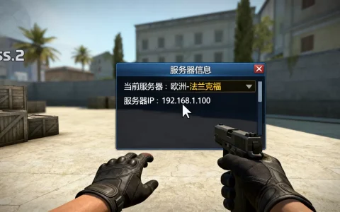 cs2怎么查看在哪个服务器，如何查询服务器地址？