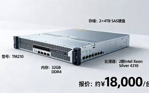 华为tm210服务器多少钱一台，参数配置及报价怎么样？