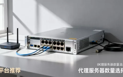 代理服务器买多少个才够用，代理服务器哪个平台好？