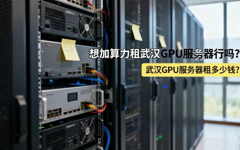 想加算力租武汉GPU服务器行吗？，武汉GPU服务器租多少钱？