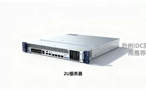 沧州2U服务器多少钱一台，哪家IDC服务商更靠谱？