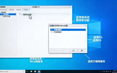 win10企业版如何安装IIS？,win10 IIS如何启用