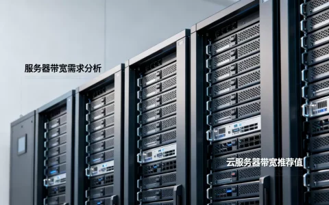 QQ服务器带宽大概需要多少，云服务器带宽多少够用