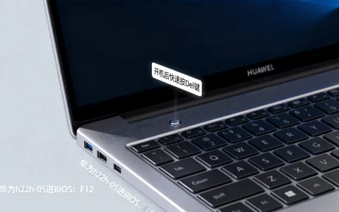 华为h22h-05怎么进BIOS？，服务器进BIOS按啥键？