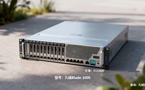 九城刀片服务器价格多少，最新报价单哪里查？