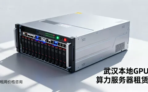武汉本地GPU算力服务器怎么租？租用价格多少。