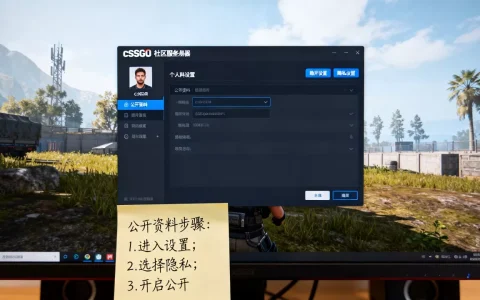 csgo社区服务器如何公开个人资料，怎么设置？