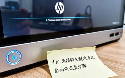 hp服务器缺失f10选项如何解决，启动项设置方法